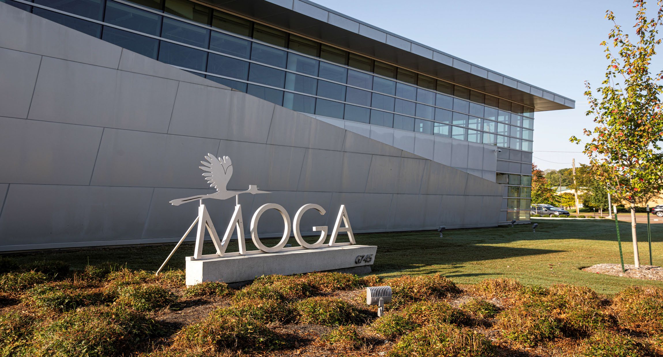 moga1