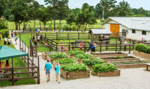 bobby lanier farm park